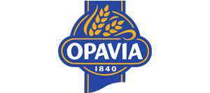 Opavia - Mondelez Czech Republic s.r.o. Партнёр WORKINTENSE
